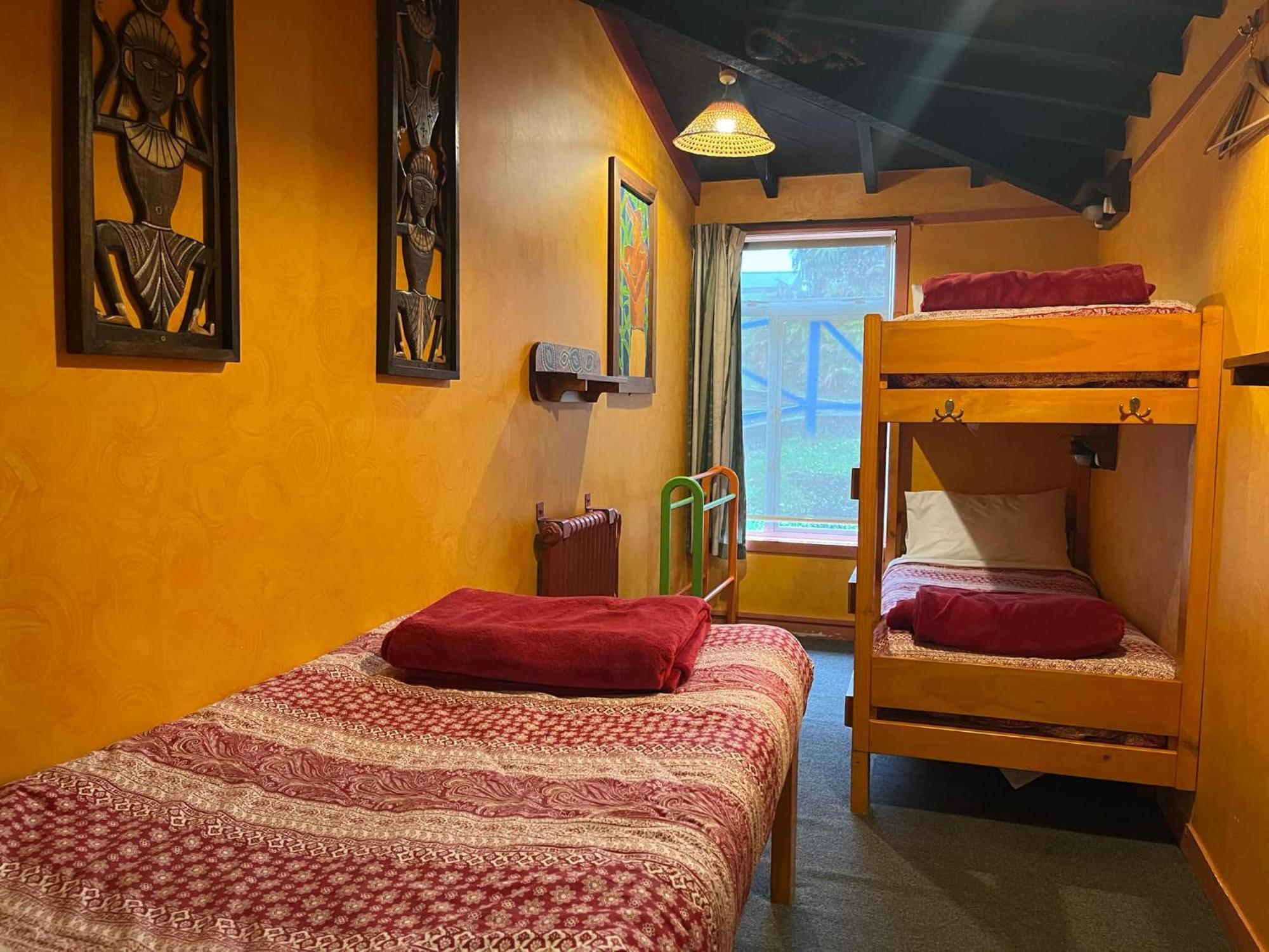 グローバル ビレッジ トラベラーズ ロッジ グレイマウス エクステリア 写真 A typical hostel room
